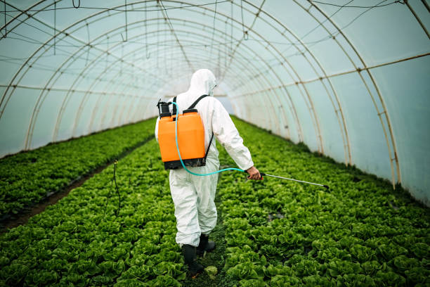 Professional Pest Control in Washington, PA