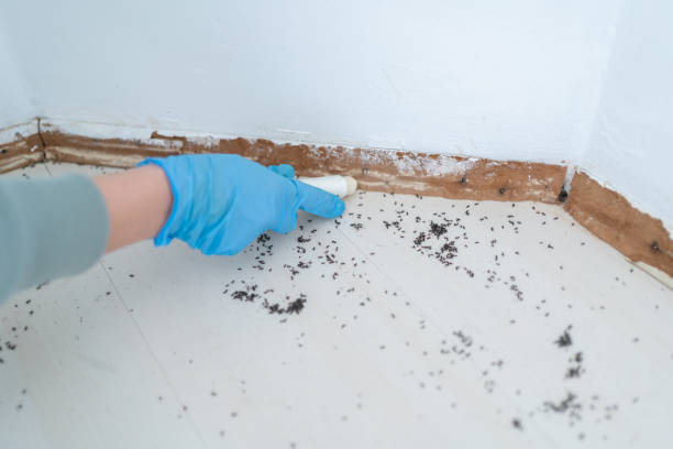 Best Emergency Pest Control  in Washington, PA