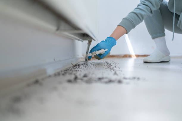 Best Residential Pest Control  in Washington, PA